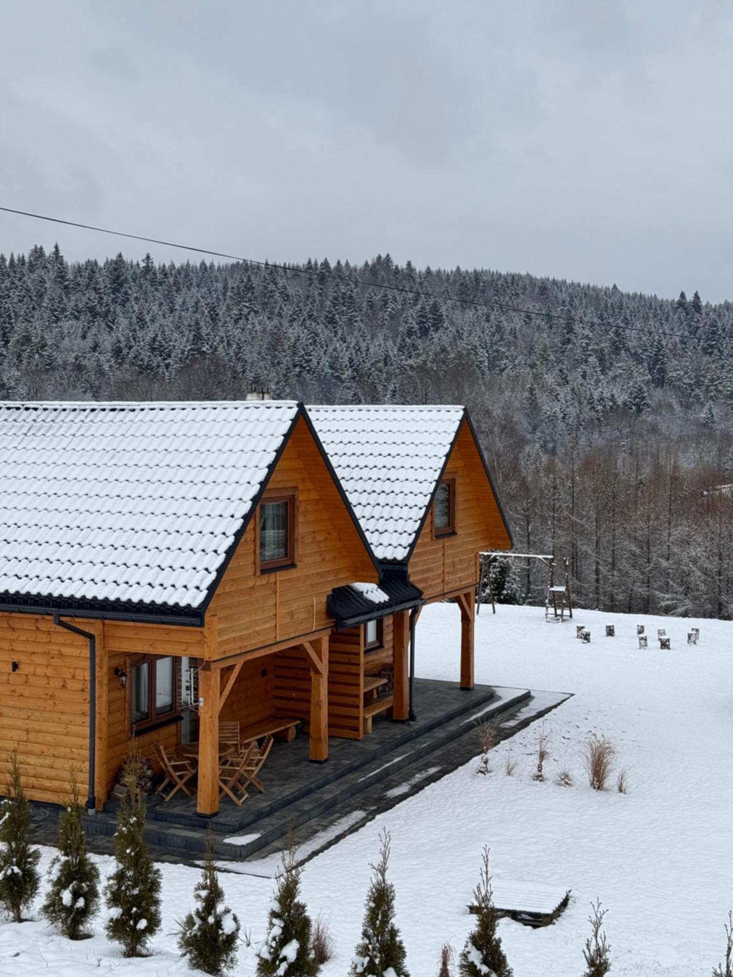 Gospodarstwo Agroturystyczne Bieszczadzki Blizniak Baligród Exterior foto